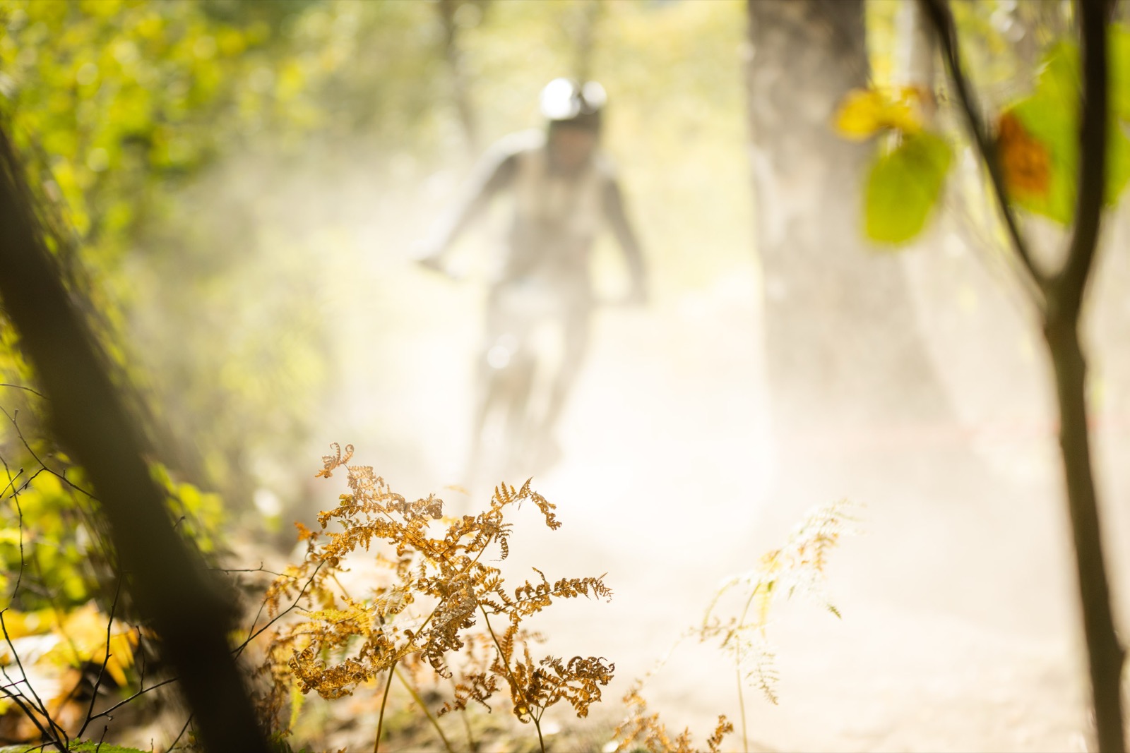 Enduro World Series