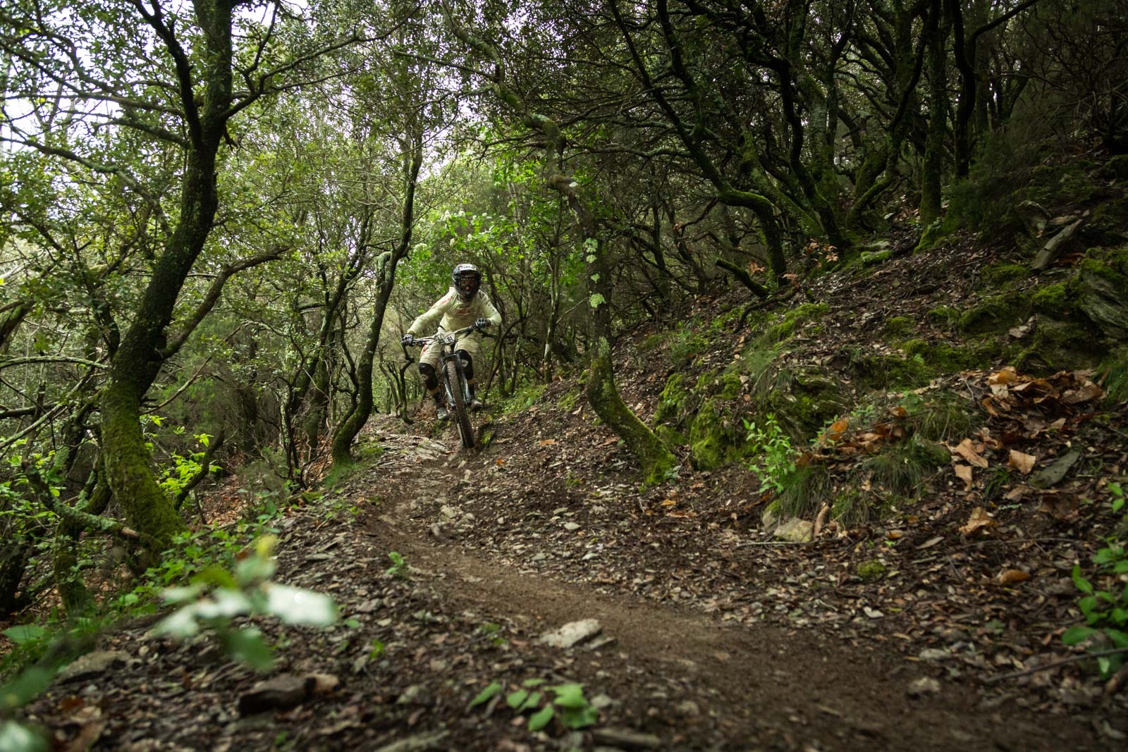 Enduro World Series